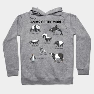 Funny Animals Panda of the World Pun Names for Kids, Men and Women Hoodie